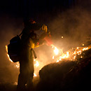 Fire