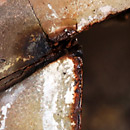 Kiln