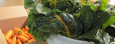 Local food Wadena bistro Swiss chard