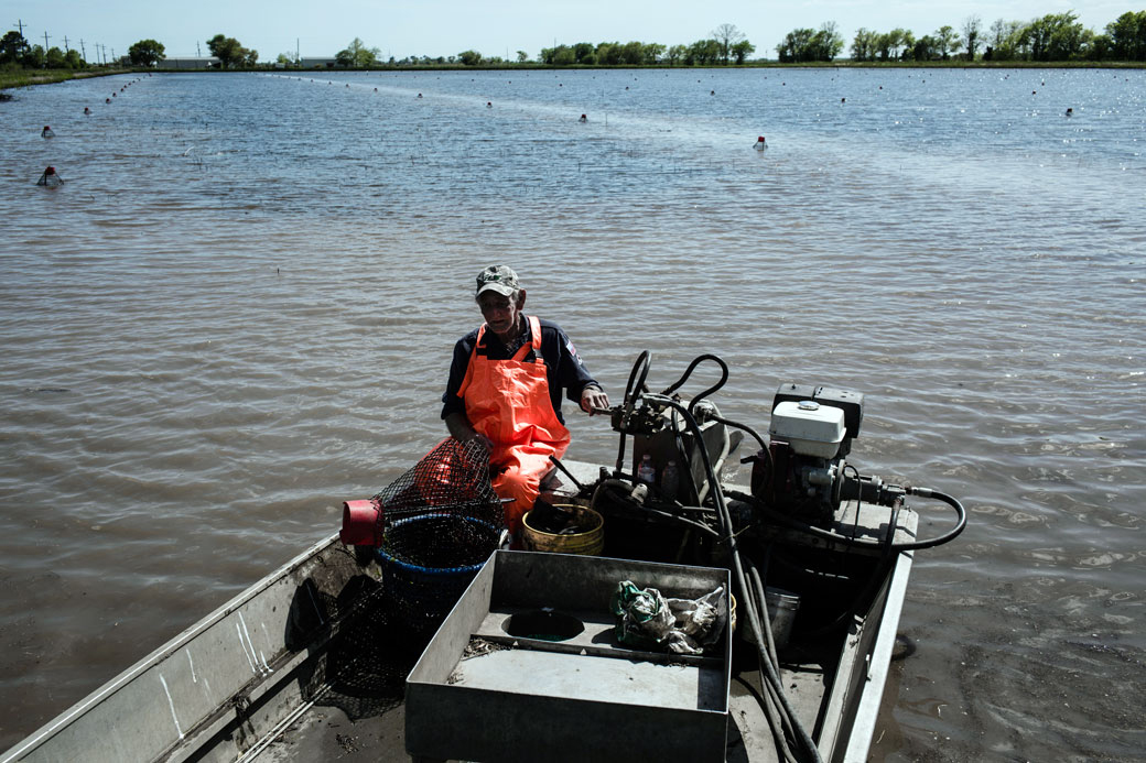Lennis Baudoin is among the fishermen who collect crawfish from traps next to St. John church in Henry, La.