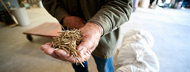 Fighting hunger on the reservation, with traditional foods